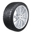 305/35ZR19 A 106W XL 555G2 27.4 3053519